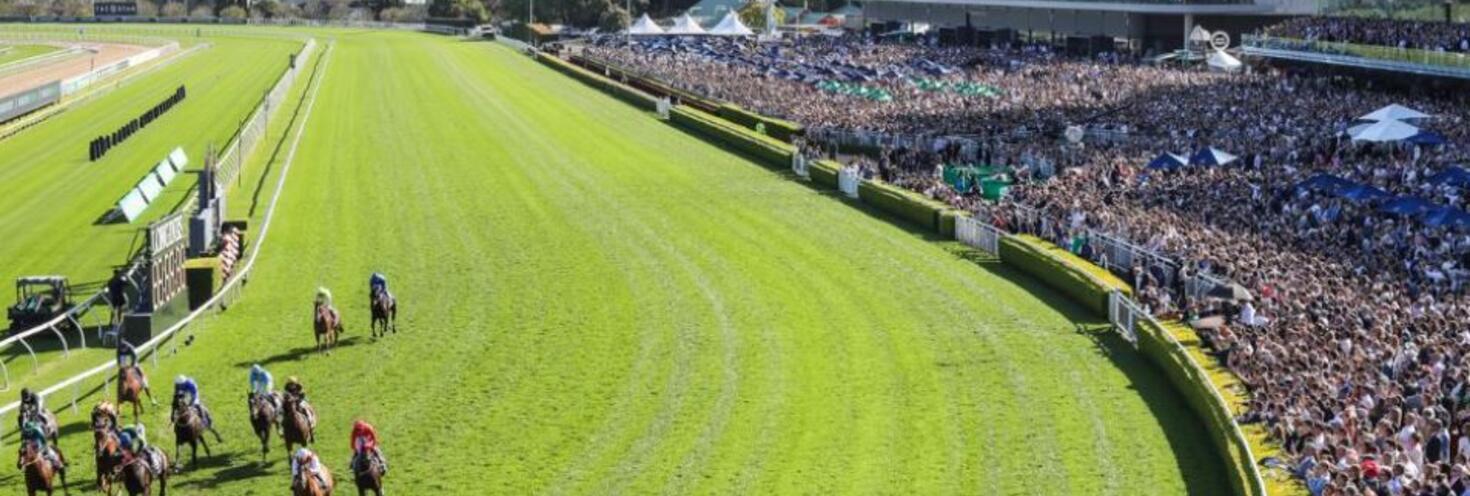 randwick races wide shot