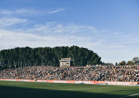 Tigers leichhardt oval